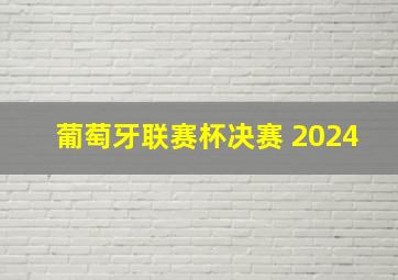 葡萄牙联赛杯决赛 2024